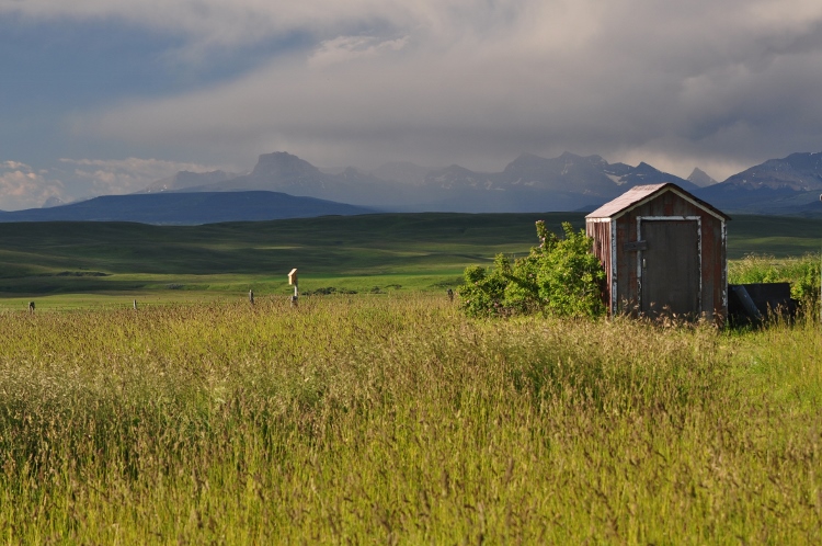 Alberta countryside